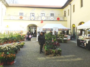 12mar16 Parabiago (7)